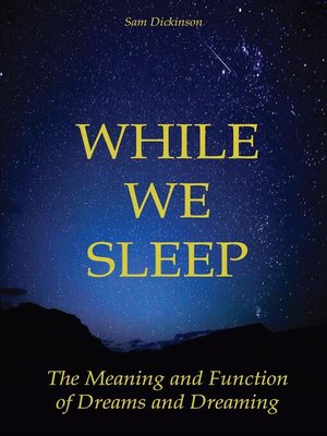 cover image of While we Sleep the Meaning and Function of Dreams and Dreaming